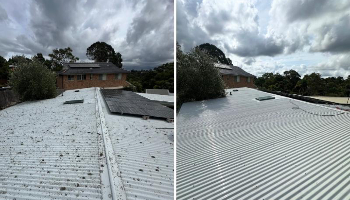 Metal Roof + Solar Panels Soft Wash